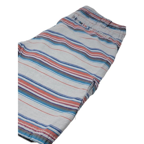 Carbon 2 Cobalt‎ Bermuda Shorts Striped Men's Size 30 - Picture 1 of 9